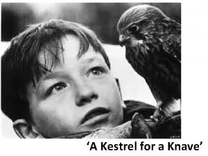 A kestrel for a knave poem