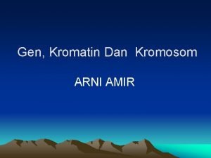 Gen Kromatin Dan Kromosom ARNI AMIR 1822 1844