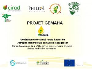 PROJET GEMAHA Gnration dlectricit rurale partir de Jatropha