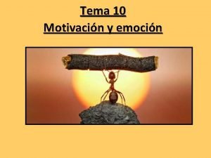 Teoria humanista de la motivacion