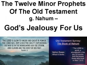 The Twelve Minor Prophets Of The Old Testament