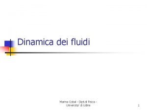 Dinamica dei fluidi Marina Cobal Dipt di Fisica