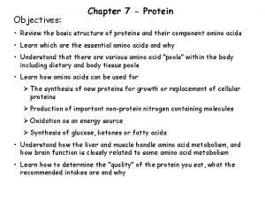 Digestion of protein by pepsin