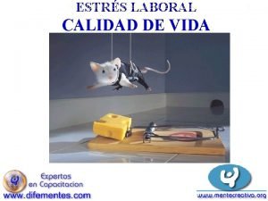 ESTRS LABORAL HB CONSULTORES ORGANIZACIONALES CIA LTDA CALIDAD