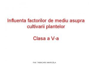 Factorii de mediu care influenteaza cultivarea plantelor