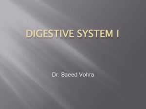 DIGESTIVE SYSTEM I Dr Saeed Vohra Primordial Gut