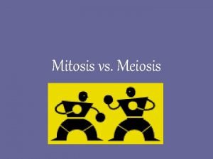 Mitosis vs meiosis animation