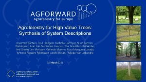 Agroforestry for High Value Trees Synthesis of System