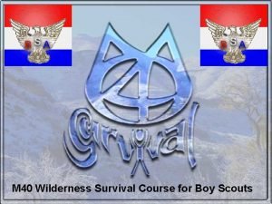Boy scouts wilderness survival
