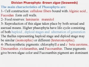 General characteristics of phaeophyta
