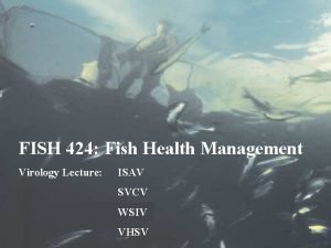 FISH 424 Fish Health Management Virology Lecture ISAV