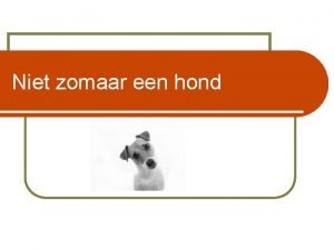 Niet zomaar een hond Inhoud l De hond