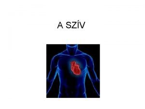 A SZV A SZV FELPTSE modell Td artria