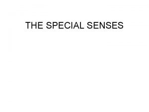 THE SPECIAL SENSES THE CHEMICAL SENSES TASTE AND