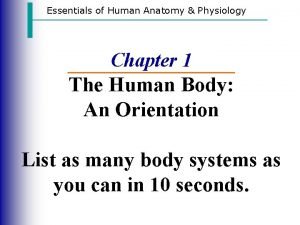 Essentials of Human Anatomy Physiology Chapter 1 The