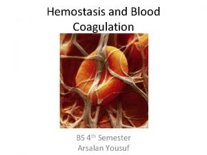 Hemostasis and Blood Coagulation BS 4 th Semester