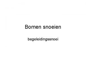 Bomen snoeien begeleidingssnoei groei snoeiregels Snoei per keer