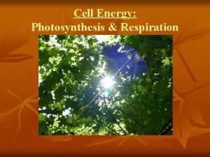 Chapter 6 cell energy photosynthesis and respiration