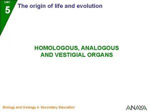 Homologous structures example