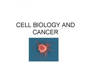 CELL BIOLOGY AND CANCER 01 Cancer types incidence