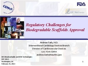Regulatory Challenges for Biodegradable Scaffolds Approval Andrew Farb
