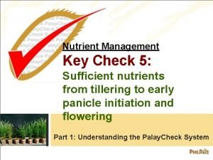 Nutrient Management Key Check 5 Sufficient nutrients from