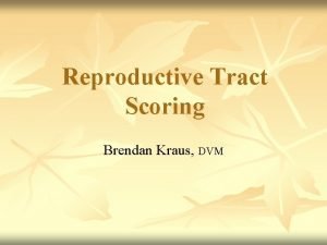 Reproductive Tract Scoring Brendan Kraus DVM Heifer Selection