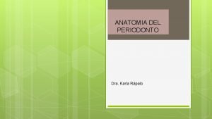 ANATOMIA DEL PERIODONTO Dra Karla Rpalo Objetivo de