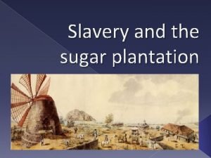 Slavery and the sugar plantation Learning Intentions Today