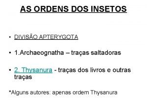 AS ORDENS DOS INSETOS DIVISO APTERYGOTA 1 Archaeognatha