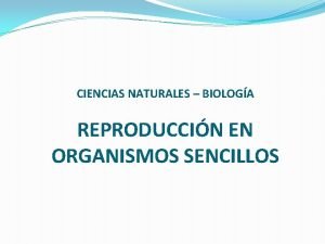 CIENCIAS NATURALES BIOLOGA REPRODUCCIN EN ORGANISMOS SENCILLOS REPRODUCCIN