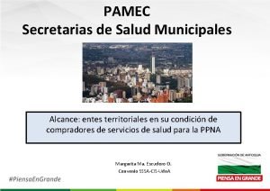 PAMEC Secretarias de Salud Municipales Alcance entes territoriales