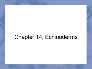 Chapter 14 Echinoderms Characteristics of Echinoderms One of