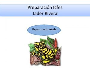 Preparacin Icfes Jader Rivera Repaso corto clula CLULA