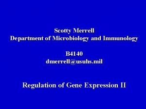 Scotty Merrell Department of Microbiology and Immunology B