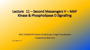 Lecture 11 Second Messengers V MAP Kinase Phospholipase