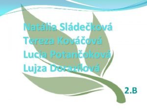 Natlia Sldekov Tereza Kovov Lucia Potanokov Lujza Dorazilov