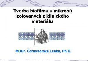 Tvorba biofilmu u mikrob izolovanch z klinickho materilu