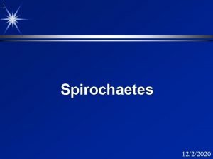 1 Spirochaetes 1222020 2 Presentation Outline Morphology Organisms