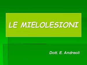 LE MIELOLESIONI Dott E Andreoli MIDOLLO SPINALE 1