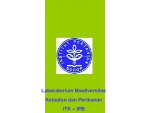 Nekton Bahari Mammalia Air Laboratorium Biodiversitas Kelautandan dan