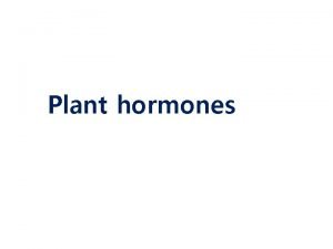 Plant hormones PGR 1 Auxin 2 Cytokinin 3