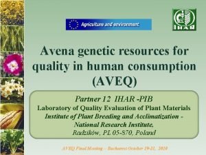 Avena genetic resources for quality in human consumption