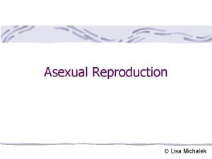 Asexual Reproduction Lisa Michalek Asexual Reproduction Results from