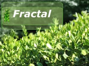 Fractal v Fractal Fracture or Fraction v v