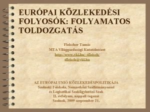 EURPAI KZLEKEDSI FOLYOSK FOLYAMATOS TOLDOZGATS Fleischer Tams MTA