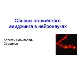 History Santiago Ramn y Cajal Staining method Golgi