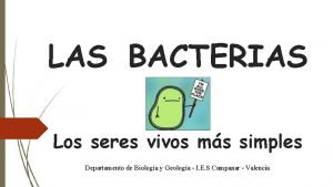 LAS BACTERIAS Los seres vivos ms simples Departamento