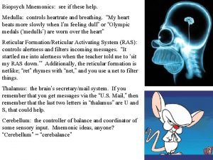 Mnemonic for medulla