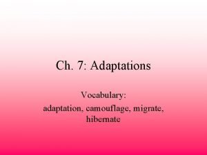 Ch 7 Adaptations Vocabulary adaptation camouflage migrate hibernate